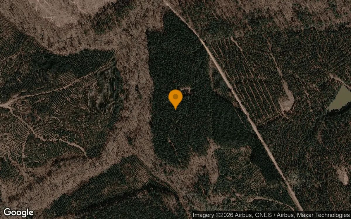 35.07 Acres in Norwood - Warren County, GA - Main image