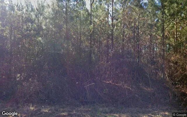 35.07 Acres in Norwood - Warren County, GA in Warren County, GA