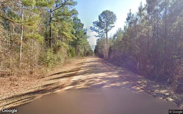 Decorative background for 35.07 Acres in Norwood - Warren County, GA image 5
