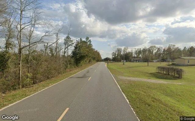Decorative background for 0.55 Acres in Donalsonville - Seminole County, GA image 5