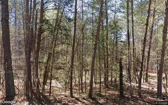 34.67 Acres in Elberton - Elbert County, GA - Image 4