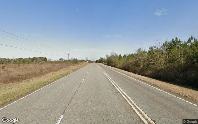 Decorative background for 0.22 Acres in Morris - Quitman County, GA image 5
