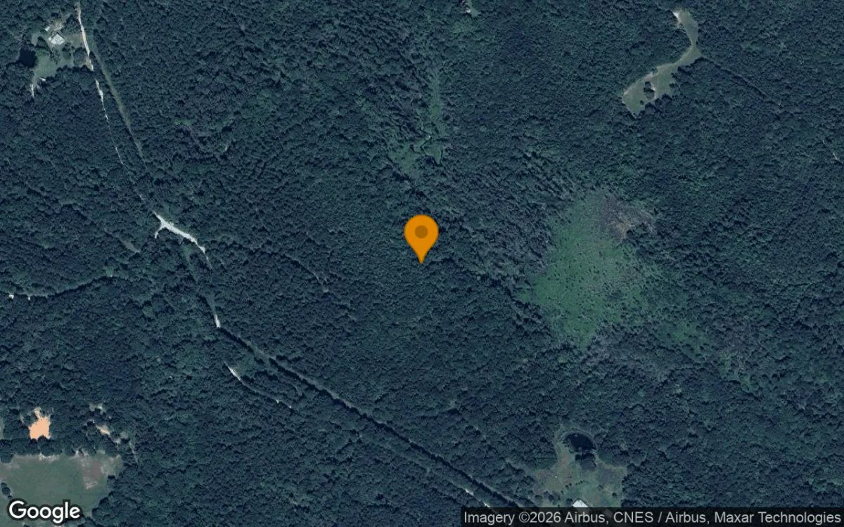 34.81 Acres in Lexington - Oglethorpe County, GA - Main image