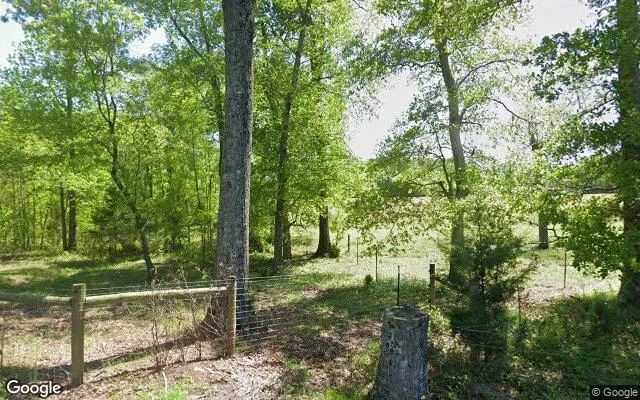 Decorative background for 34.81 Acres in Lexington - Oglethorpe County, GA image 6