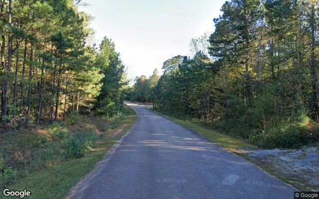Decorative background for 3.5 Acres in Jenkinsburg - Butts County, GA image 5
