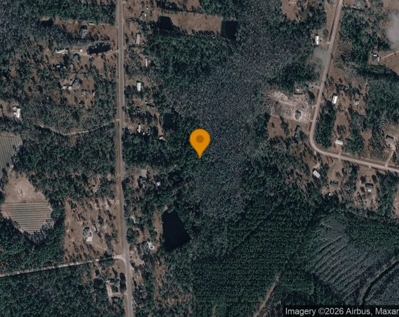 3.52 Acres in Naylor - Lanier County, GA in Lanier County, GA