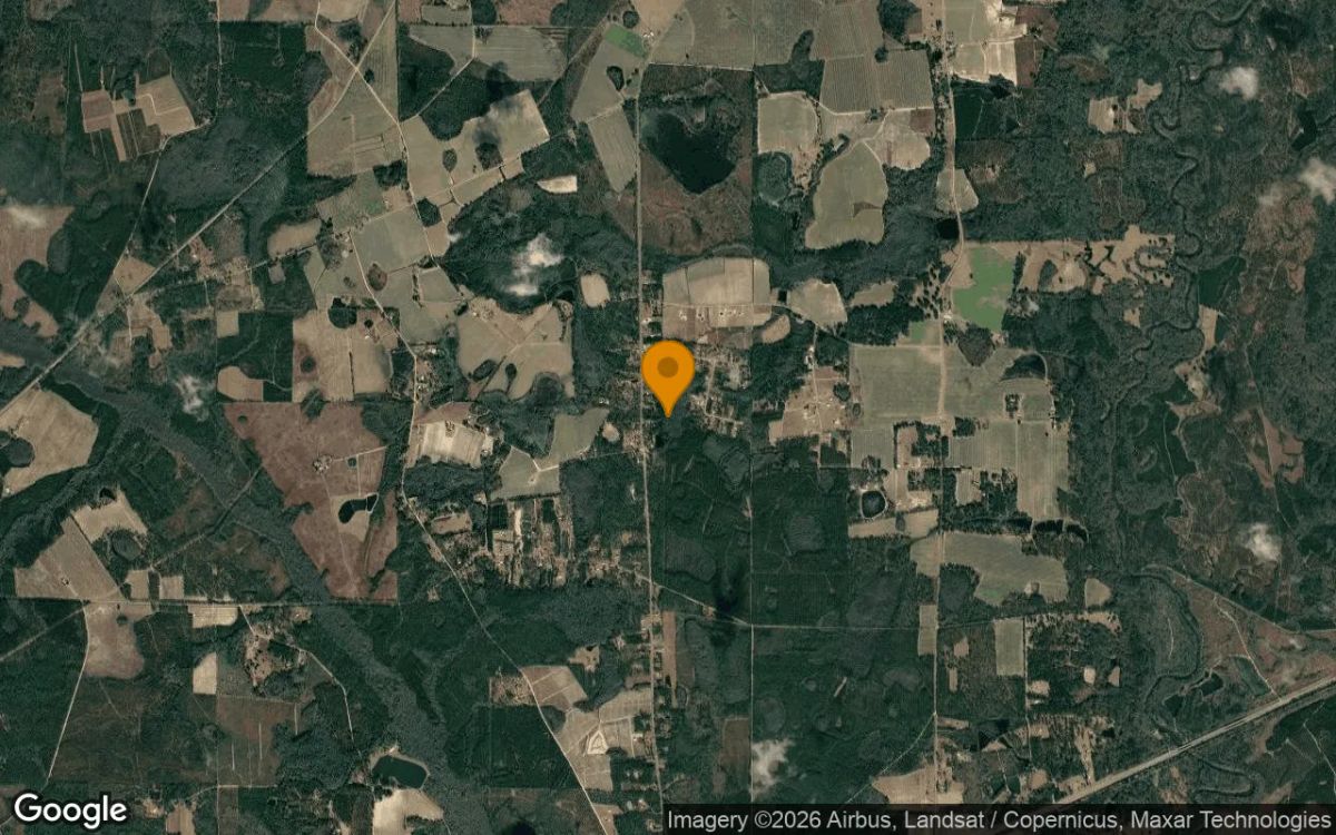 3.52 Acres in Naylor - Lanier County, GA - Image 3