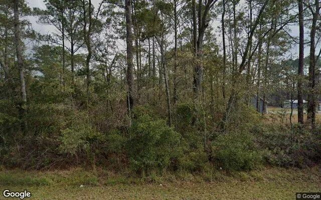 3.52 Acres in Naylor - Lanier County, GA - Image 4