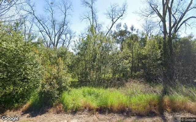 1.14 Acres in Baconton - Mitchell County, GA in Mitchell County, GA