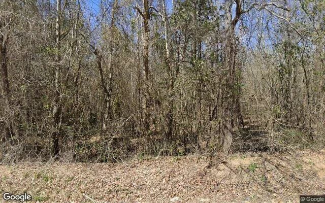 34.99 Acres in Warrenton - Warren County, GA - Image 4