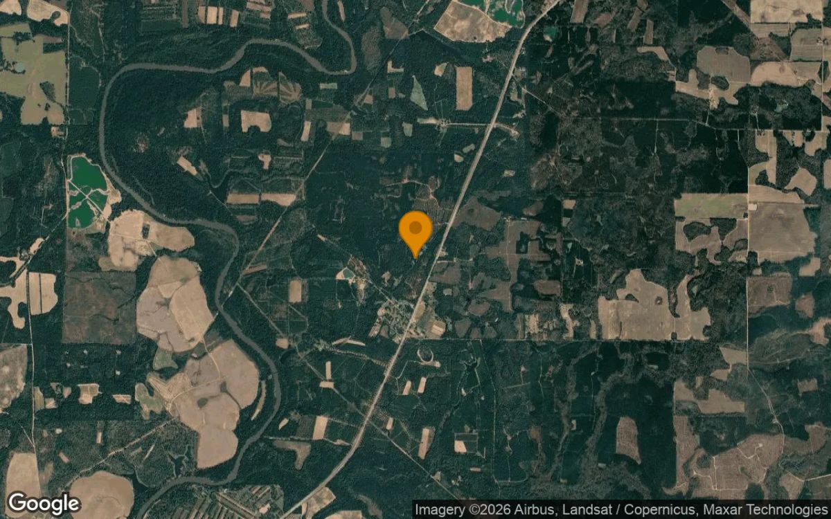 0.48 Acres in Oakfield - Worth County, GA - Image 3