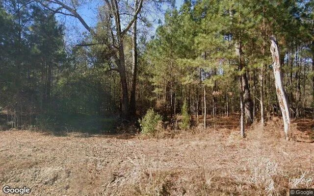 0.48 Acres in Oakfield - Worth County, GA in Worth County, GA