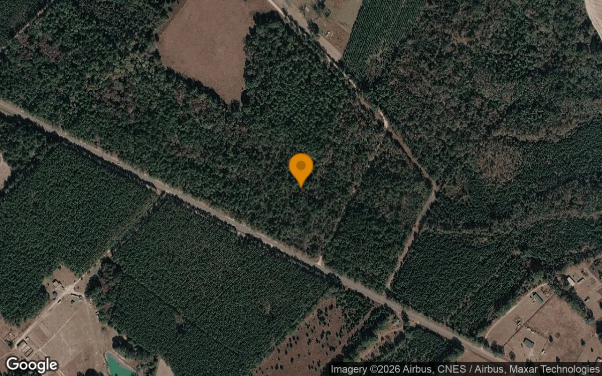 34.79 Acres in Glenwood - Wheeler County, GA - Main image