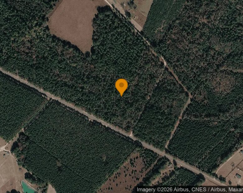 34.79 Acres in Glenwood - Wheeler County, GA in Wheeler County, GA