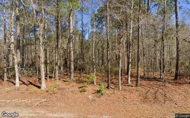 34.79 Acres in Glenwood - Wheeler County, GA - Image 4