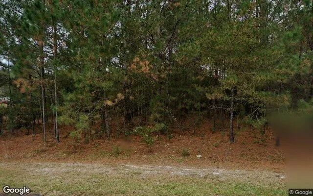 0.46 Acres in Pembroke - Bryan County, GA - Image 4