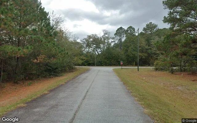 Decorative background for 0.46 Acres in Pembroke - Bryan County, GA image 6