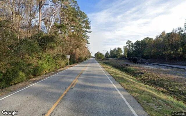 Decorative background for 0.19 Acres in Oliver - Screven County, GA image 6