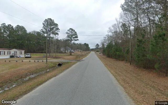 Decorative background for 0.55 Acres in Mount Vernon - Montgomery County, GA image 5