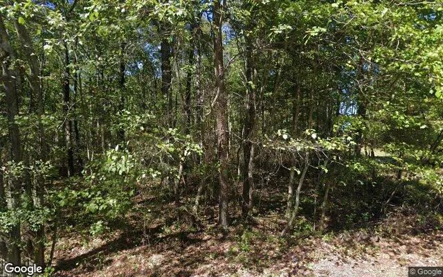 0.1 Acres in Menlo - Chattooga County, GA in Chattooga County, GA