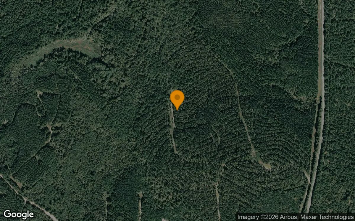 123.77 Acres in Jeffersonville - Twiggs County, GA - Main image