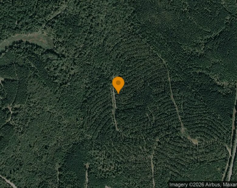 123.77 Acres in Jeffersonville - Twiggs County, GA in Twiggs County, GA
