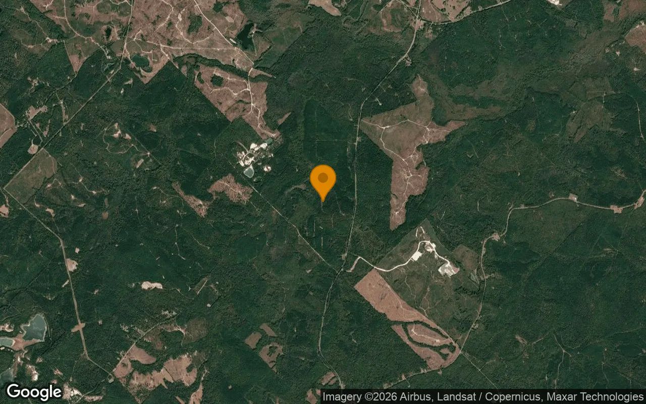 123.77 Acres in Jeffersonville - Twiggs County, GA in Twiggs County, GA