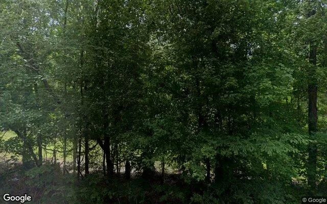 123.77 Acres in Jeffersonville - Twiggs County, GA in Twiggs County, GA