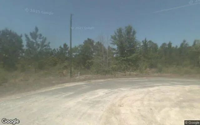 1.5 Acres in Blackshear - Pierce County, GA - Image 4
