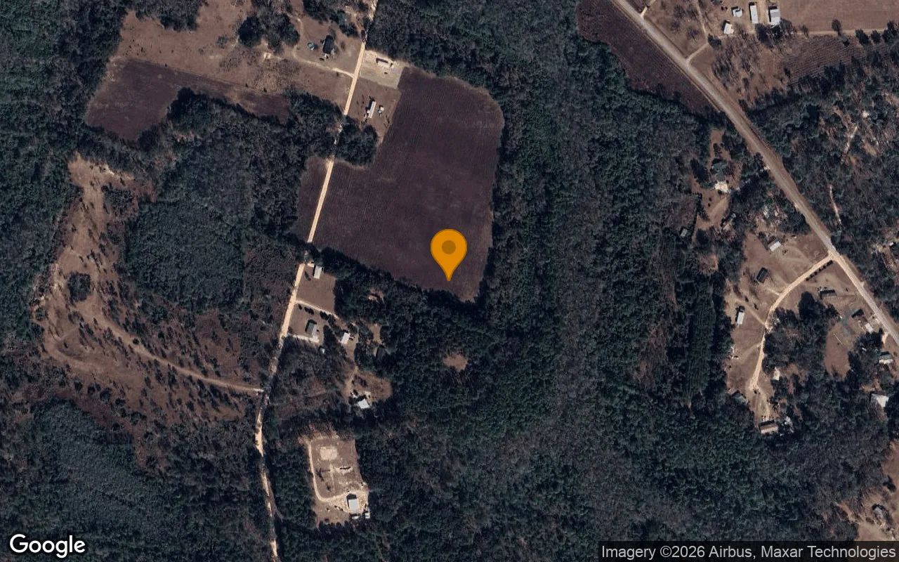 7.46 Acres in Ludowici - Long County, GA in Long County, GA