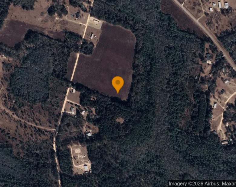 7.46 Acres in Ludowici - Long County, GA in Long County, GA