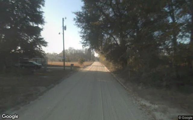 Decorative background for 7.46 Acres in Ludowici - Long County, GA image 6