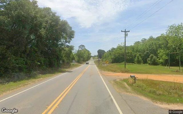 Decorative background for 0.55 Acres in Albany - Worth County, GA image 6