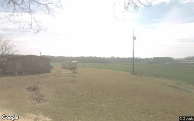 Decorative background for 14.88 Acres in Sylvania - Screven County, GA image 5