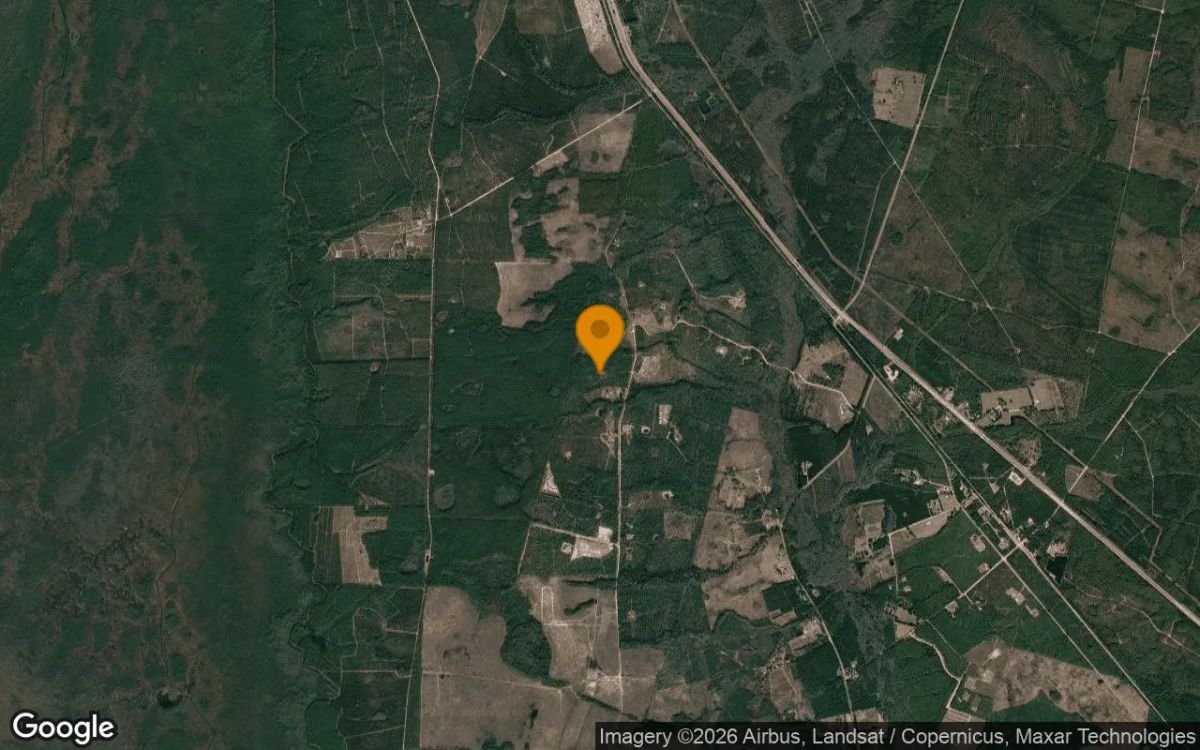 36.02 Acres in Folkston - Charlton County, GA - Image 3