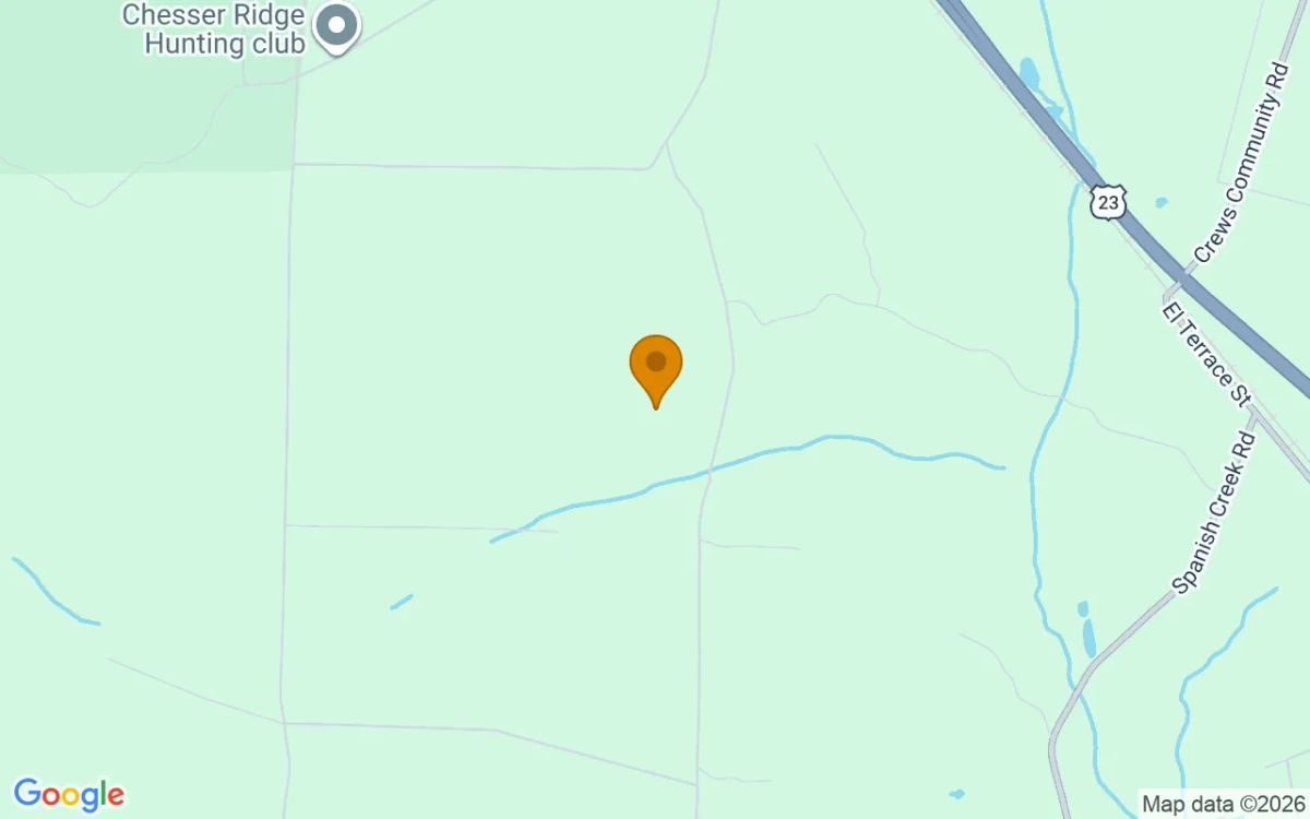 36.02 Acres in Folkston - Charlton County, GA - Image 4