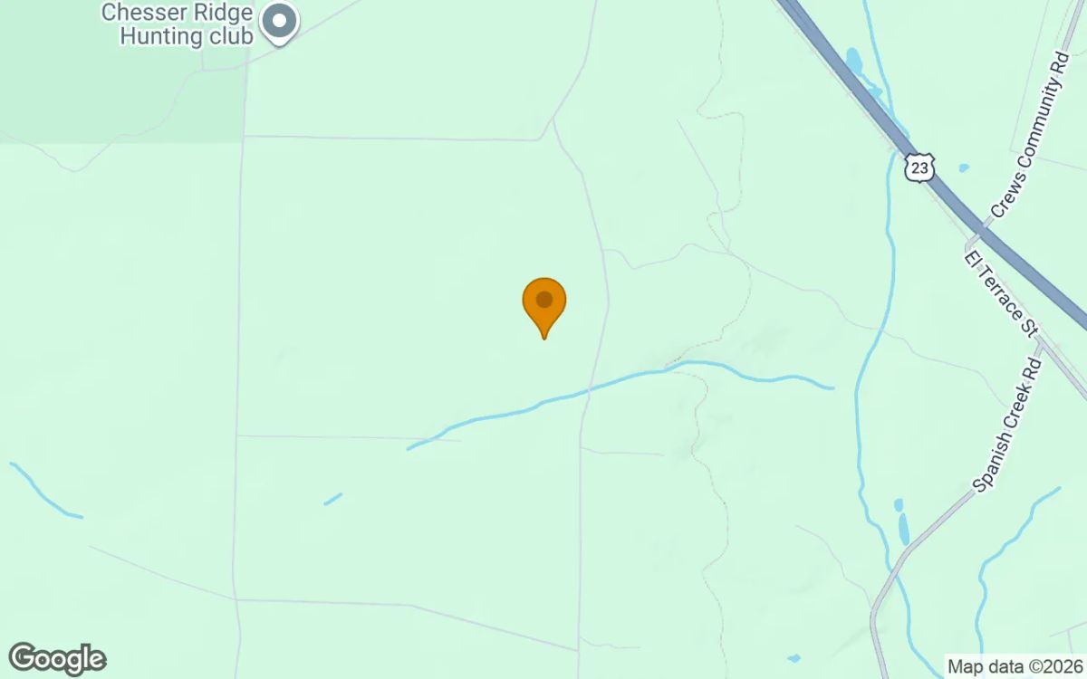 Decorative background for 36.02 Acres in Folkston - Charlton County, GA image 5