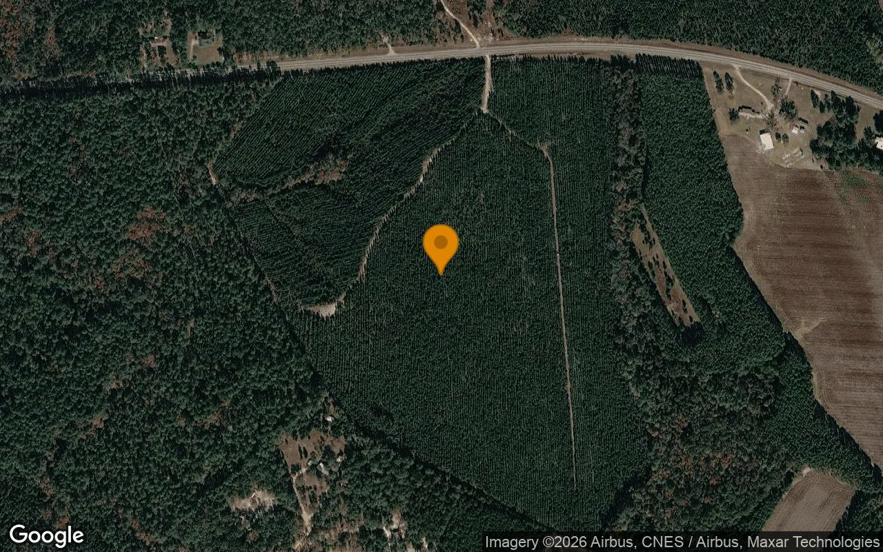 75.3 Acres in Soperton - Treutlen County, GA in Treutlen County, GA
