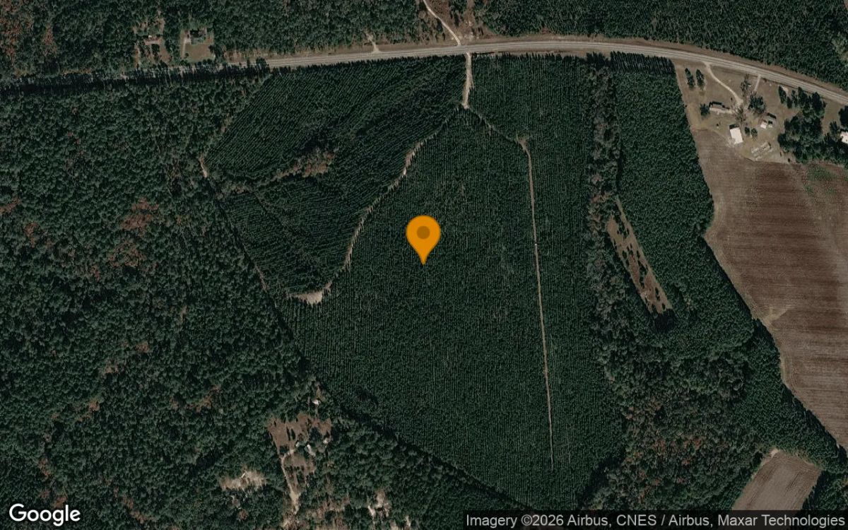 75.3 Acres in Soperton - Treutlen County, GA - Main image