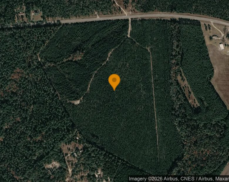 75.3 Acres in Soperton - Treutlen County, GA in Treutlen County, GA