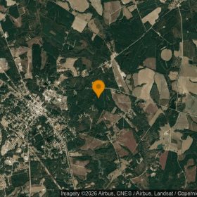 75.3 Acres in Soperton - Treutlen County, GA in Treutlen County, GA