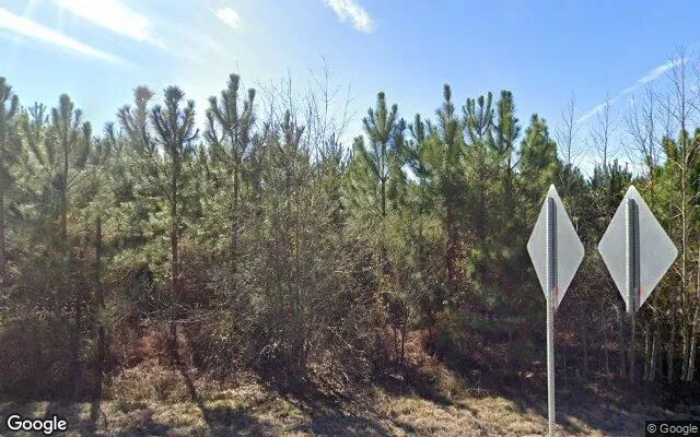 75.3 Acres in Soperton - Treutlen County, GA in Treutlen County, GA