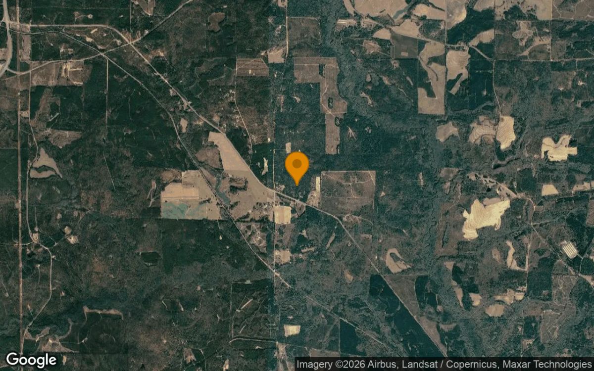 23.06 Acres in Rupert - Taylor County, GA - Image 3