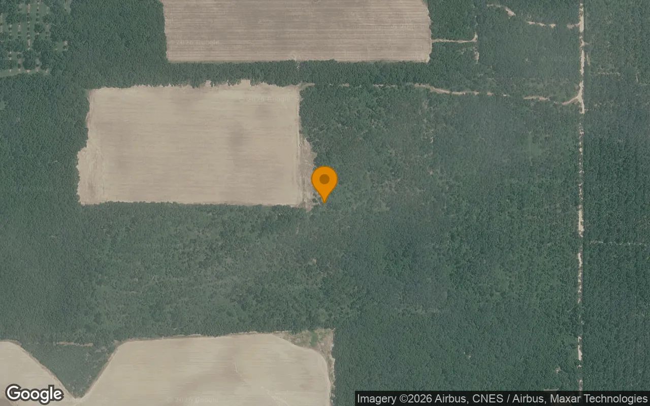 125.65 Acres in Camilla - Mitchell County, GA in Mitchell County, GA