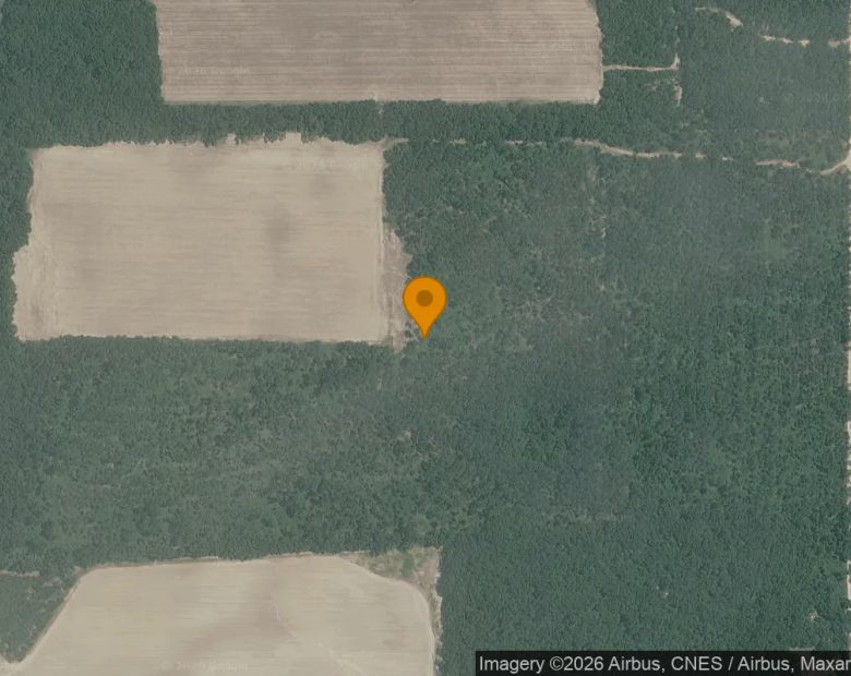 125.65 Acres in Camilla - Mitchell County, GA in Mitchell County, GA