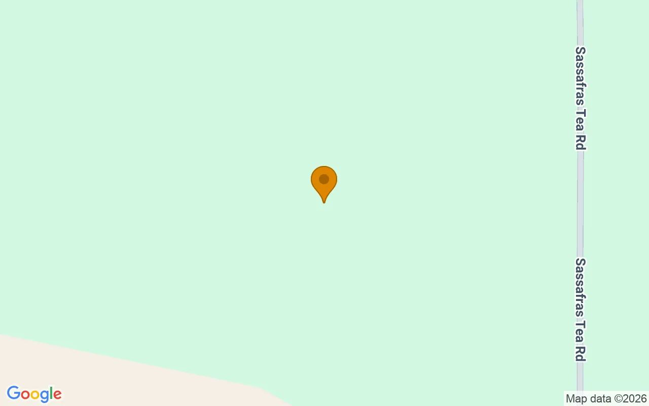 125.65 Acres in Camilla - Mitchell County, GA in Mitchell County, GA