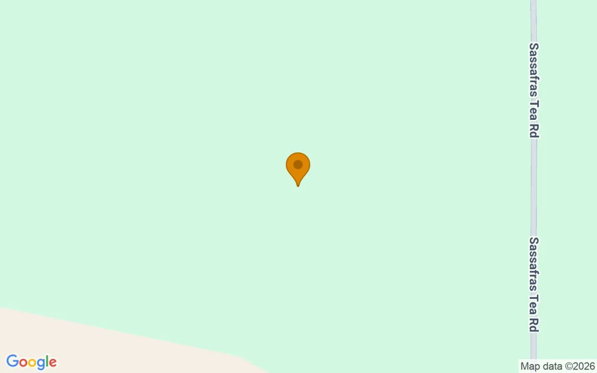 125.65 Acres in Camilla - Mitchell County, GA - Image 2