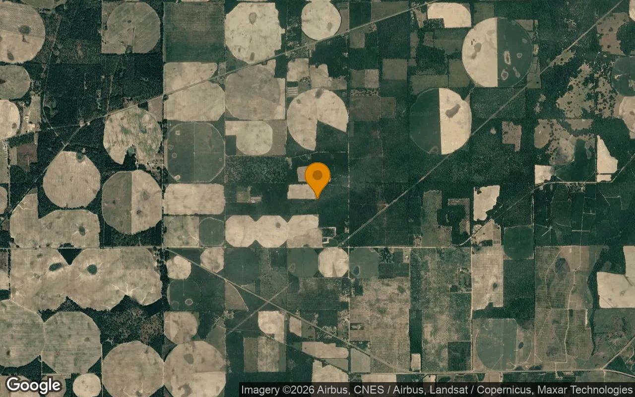 125.65 Acres in Camilla - Mitchell County, GA in Mitchell County, GA