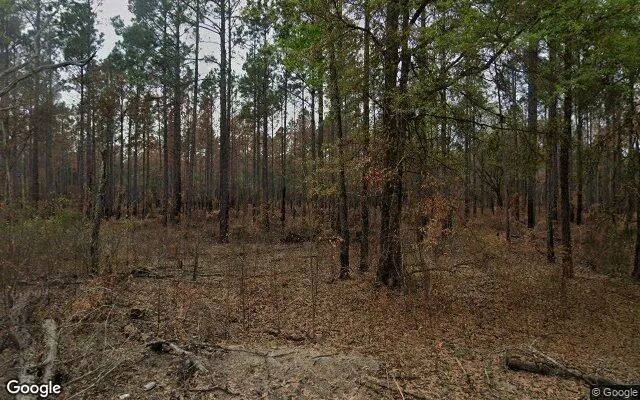 125.65 Acres in Camilla - Mitchell County, GA in Mitchell County, GA