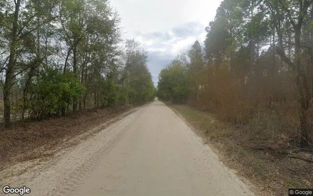 Decorative background for 125.65 Acres in Camilla - Mitchell County, GA image 5